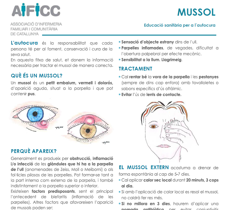 Més informació sobre l'article Mussol